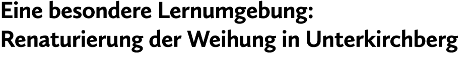 Eine besondere Lernumgebung: Renaturierung der Weihung in Unterkirchberg