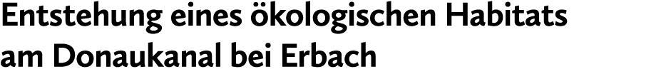 Entstehung eines kologischen Habitats am Donaukanal bei Erbach