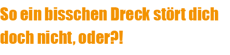 So ein bisschen Dreck st rt dich doch nicht, oder?!