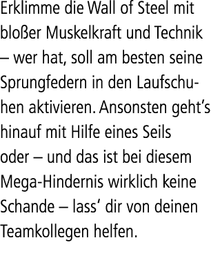 Erklimme die Wall of Steel mit blo er Muskelkraft und Technik – wer hat, soll am besten seine Sprungfedern in den Lau...