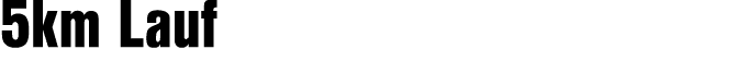 5km Lauf