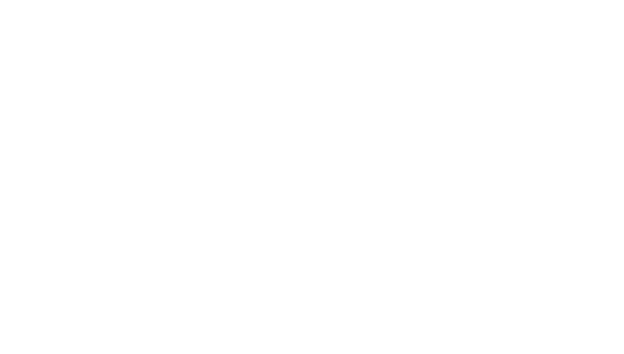 viel mehr als nur Begleit erscheinung.