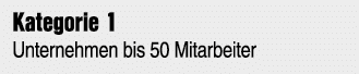 Kategorie 1 Unternehmen bis 50 Mitarbeiter