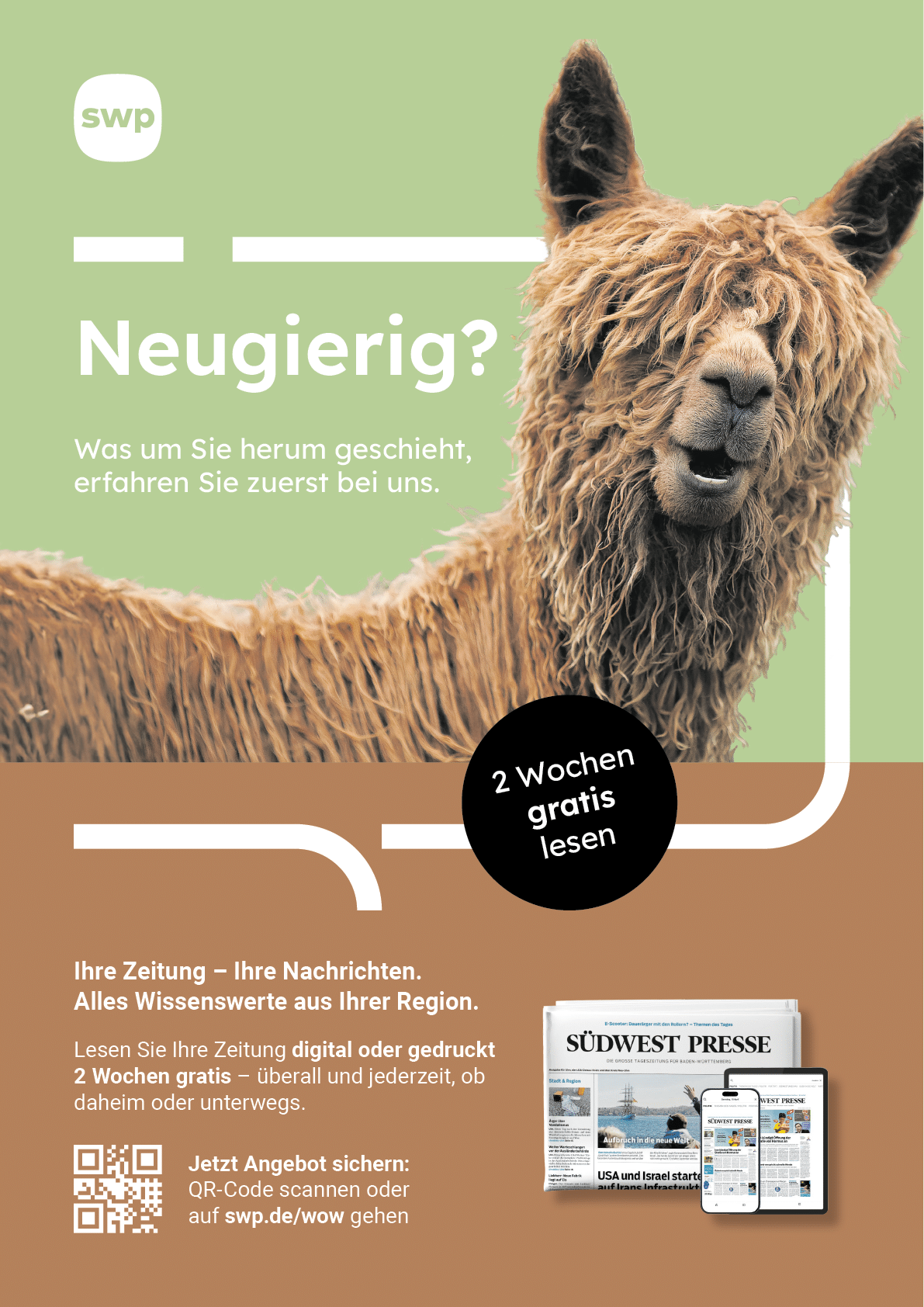 A promotional advertisement featuring a shaggy llama on a green background encouraging readers to try a regional newspaper with two weeks free access. Beschreibung von KI generiert