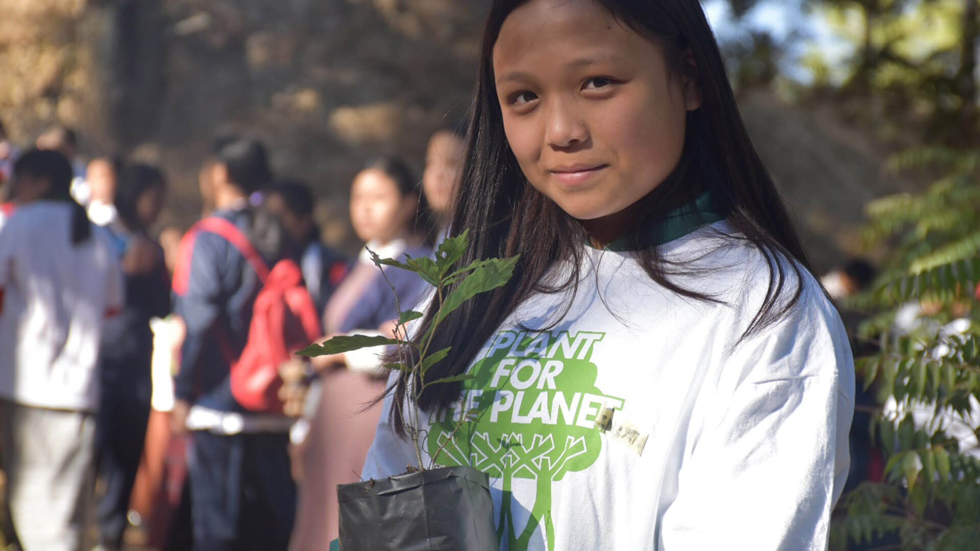 Software-Spezialist Wilken Group und die Initiative Plant-for-the-planet bilden 80 Schüler zu Klimabotschaftern aus